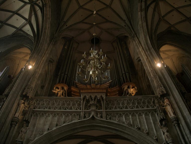 Intricate gothic architecture with a majestic pipe organ inside a Vienna church.